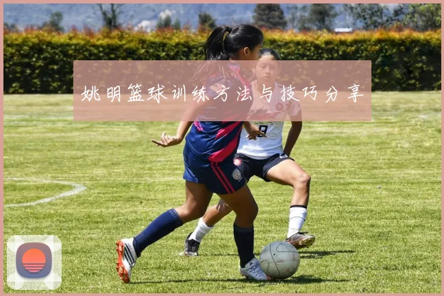 姚明篮球训练方法与技巧分享