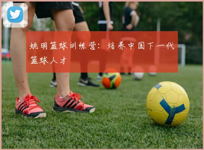姚明篮球训练营：培养中国下一代篮球人才