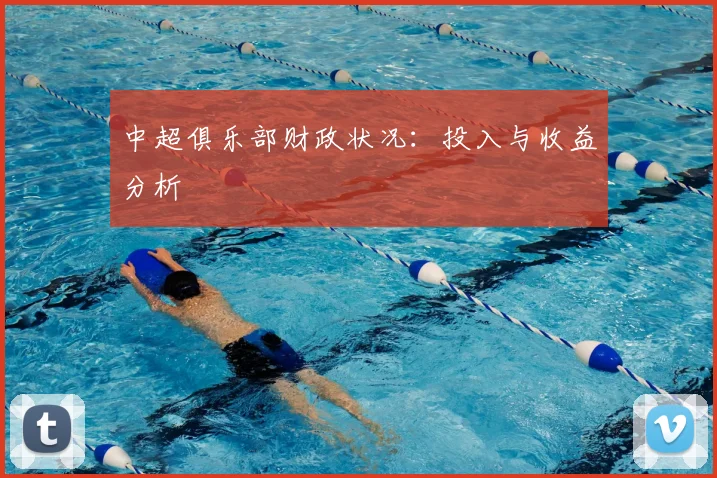 中超俱乐部财政状况:投入与收益分析